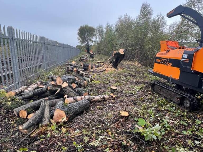 Professional Site Clearance in Atherton