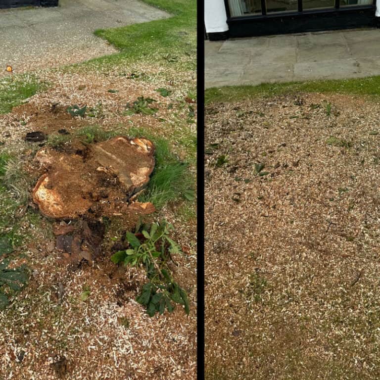 Local Stump Grinding Near Me in Atherton