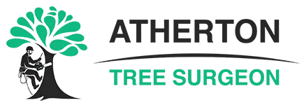 Blackburn Tree Services